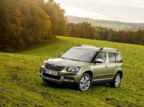  Skoda Yeti  ,    